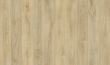 Charisma - Blonde Oak